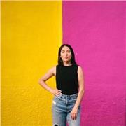 Licence en langues vivantes espagnol, anglais et français